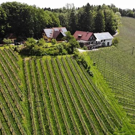 B&B Weingut Spitzypeitler 3*