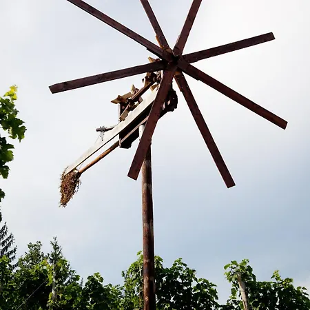 Weingut Spitzypeitler Bed & Breakfast