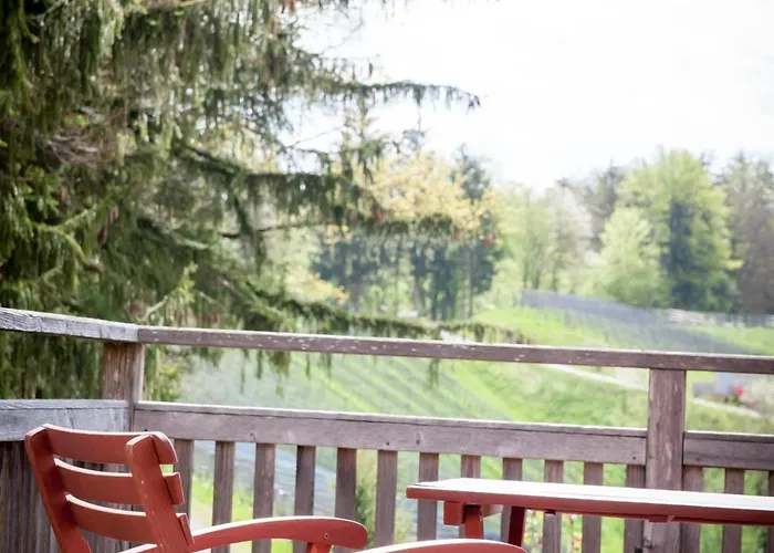 Weingut Spitzypeitler