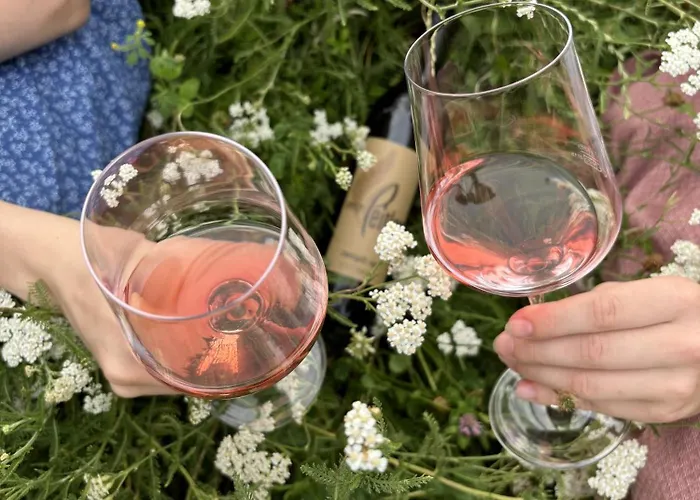 Bed and Breakfast Weingut Spitzypeitler